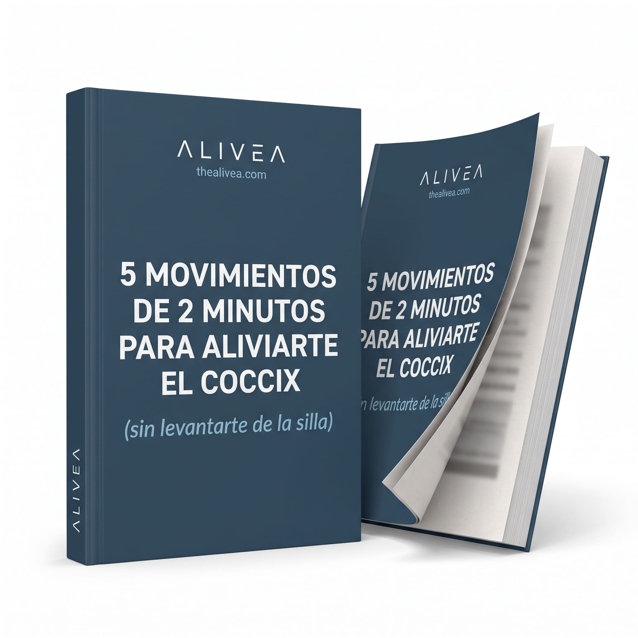 Guía: Los 5 Movimientos