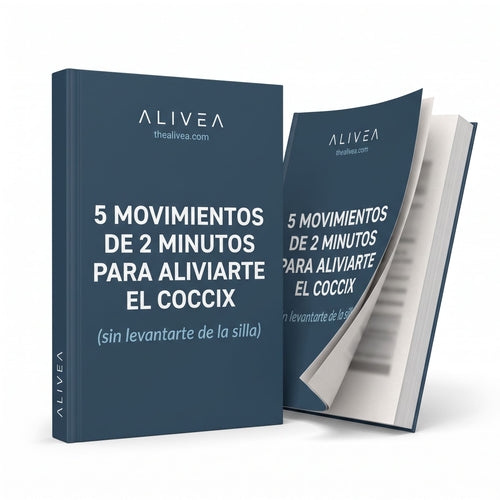 Guía: Los 5 Movimientos